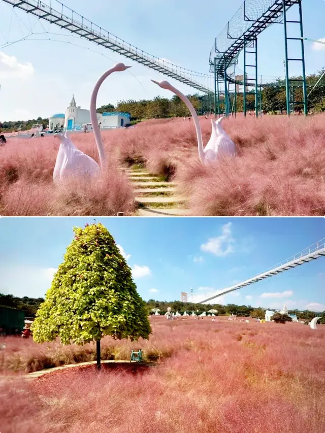 漫花莊園是懂成都人的浪漫的（附詳細攻略）