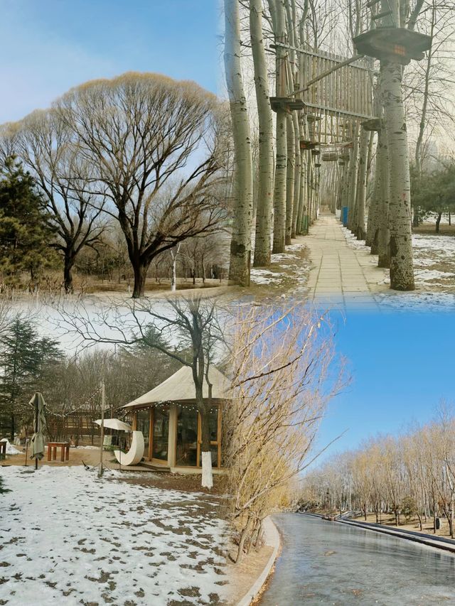 北京朝陽公園｜浪漫不止夕陽 還有冬天的朝陽