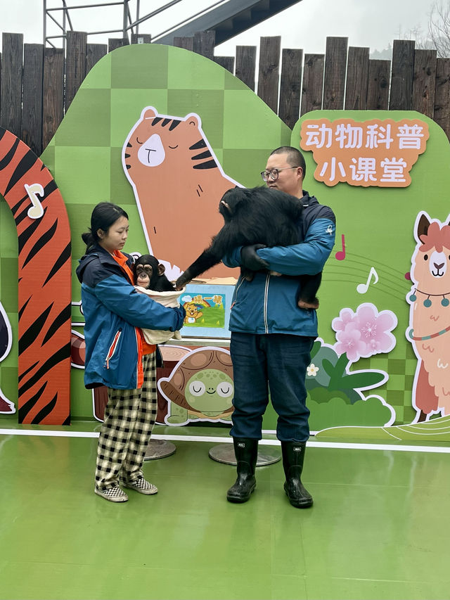 春日逛動物園真的太太太治癒啦！