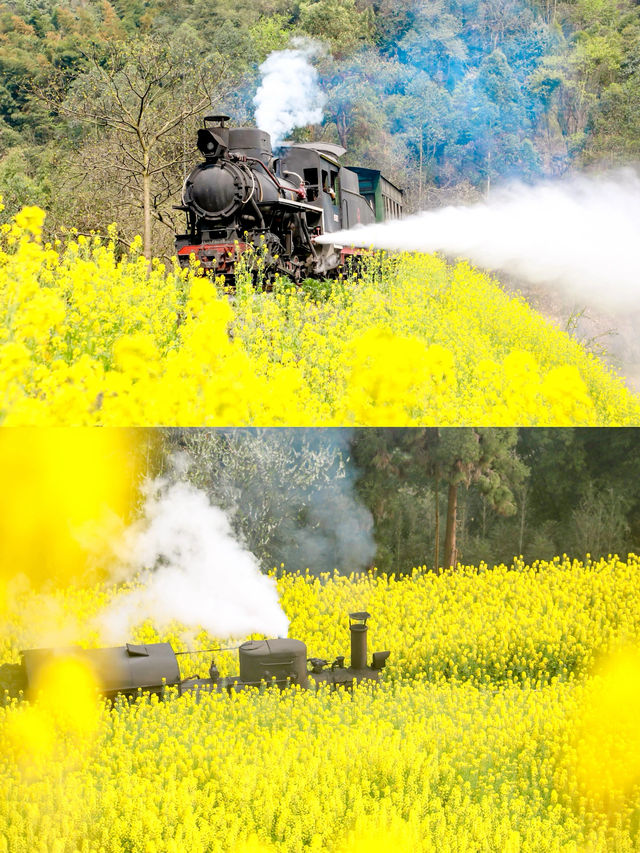 春天玩點花的｜樂山嘉陽小火車旅行