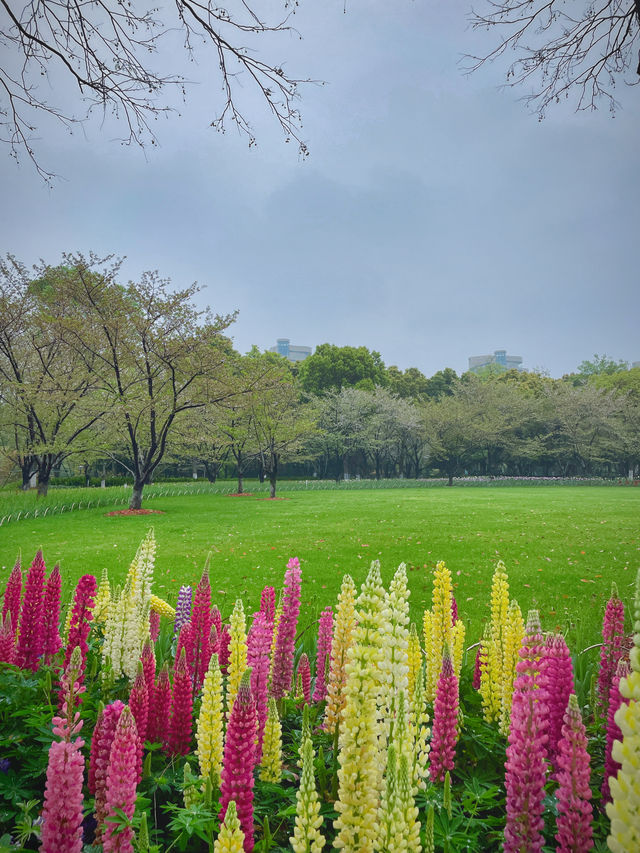 瓜渚湖公園