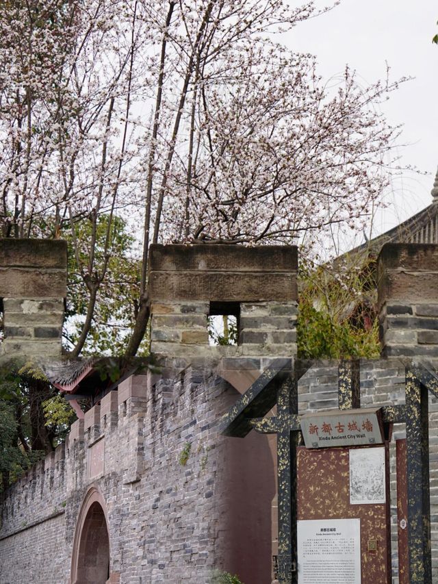 在成都丨唯一我想去無數次的公園！
