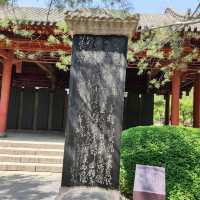太原碑林公園·看傅山書法