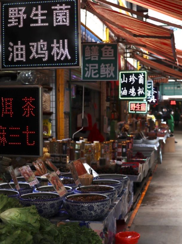 寫給人間四月天要來昆明的你｜實用旅行建議