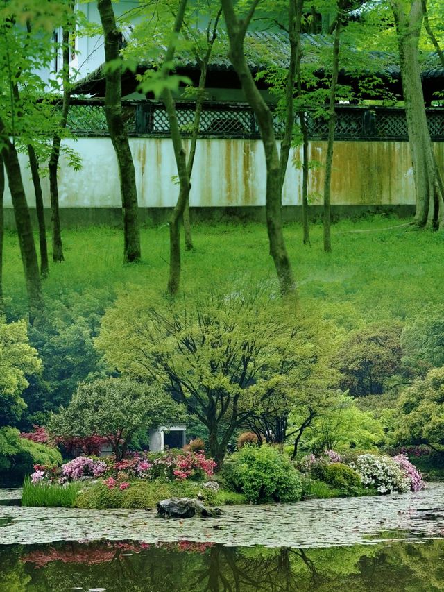 走進多姿多彩的杭州植物園：一場視覺與心靈的盛宴