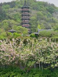 登牛首山，觀金陵全景，體驗佛教文化的深厚底蘊