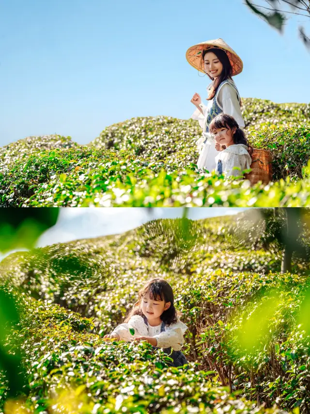 Spring Outing Memoir | Heading to spring for tea, a bud, a leaf, a whiff of fragrance