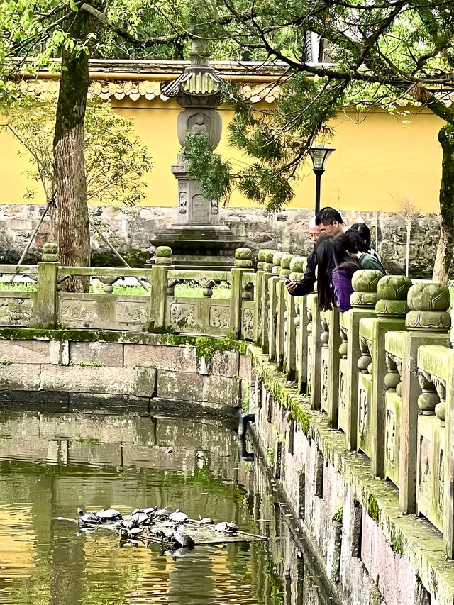 佛教禪宗名剎 阿育王寺 寧波