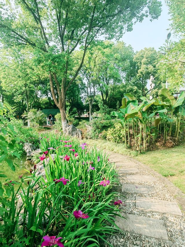 華東最大植物園，林田相依、湖岸美景交融