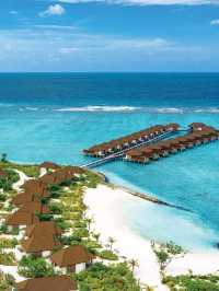 🏝️ Maldives Magic: Honeymoon Haven & Aquatic Bliss 🌊