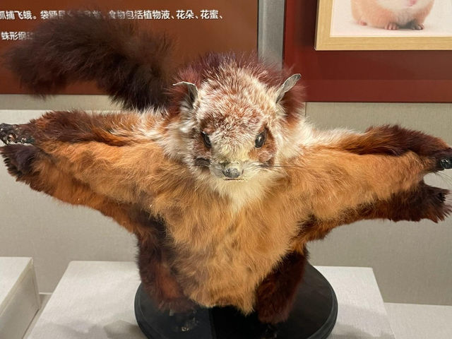 這是2024年最值得帶娃來的博物館！