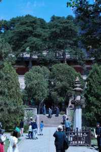 山西古建至寶｜佛光寺，源自唐朝的中式美學