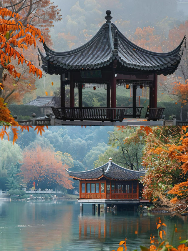 為了這些照片，專門飛一趟長沙值得嗎
