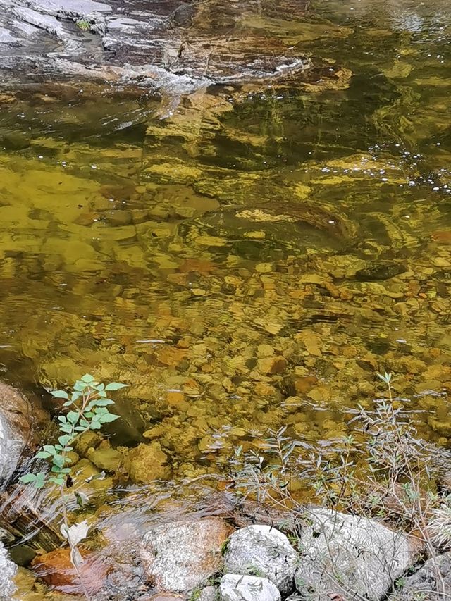夢幻山水黃柏塬
