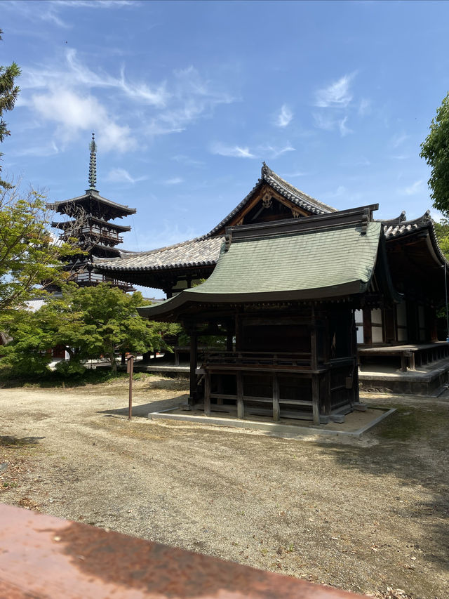 水稻田間，遙看藥師寺