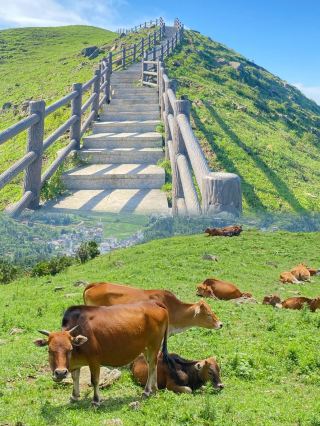 Trek through the celestial wonderland and unlock the one-day challenge of Baihe Ridge