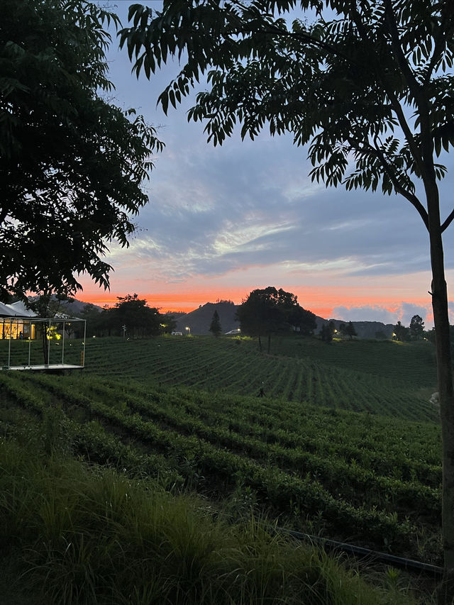 發現寶藏野奢露營酒店！擁山野而眠，伴松風入夢！