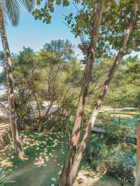 🏖️ Trancoso's Tropical Escape: Unwind in Style 🌴
