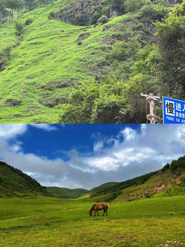 離昆明2h!只屬於雲南人自己的阿勒泰