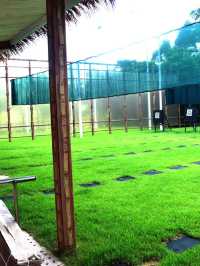 🌟 Zhuhai's Hidden Gem: Gree Dong'ao Hotel 🏖️✨