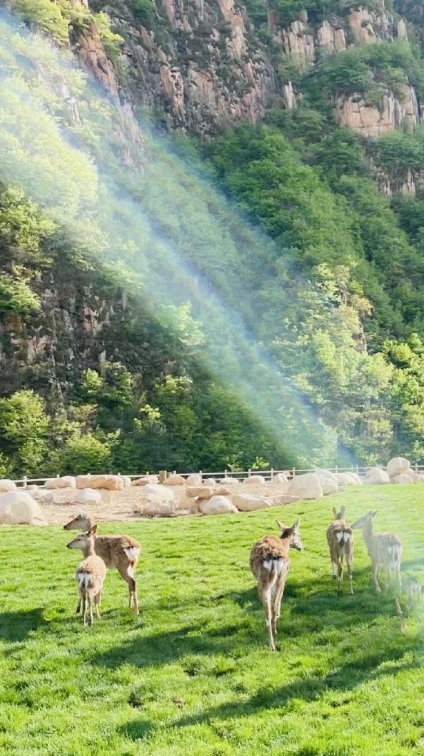 秦皇島 | 祖山·不用出國就能看到山谷藍冰