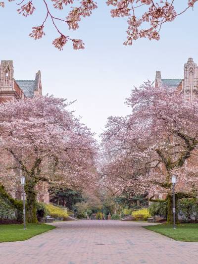 University of Washington Tickets [2025] - Promos, Prices