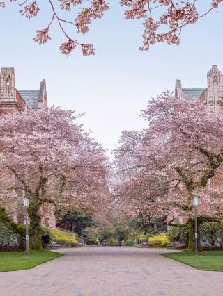 🌟 Seattle's Must-See Spots: From Markets to Museums! 🌆🎡🚀