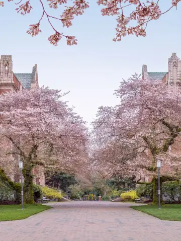 🌟 Seattle's Must-See Spots: From Markets to Museums! 🌆🎡🚀