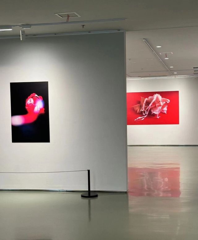威海天和美術館，拍照超好看的！！！