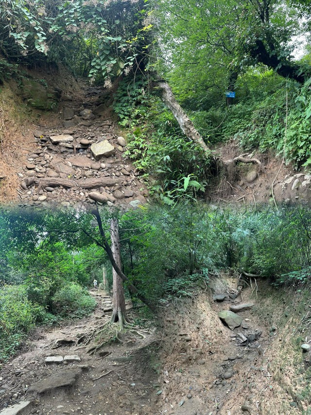 都江堰趙公山｜財神廟廟｜有求必應 奉旨發財