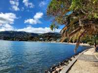 阿卡羅阿 (Akaroa)法式小鎮
