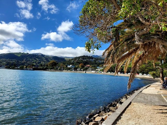 阿卡羅阿 (Akaroa)法式小鎮