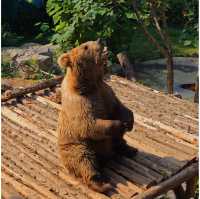 濟南野生動物世界｜與大自然的奇妙約會。