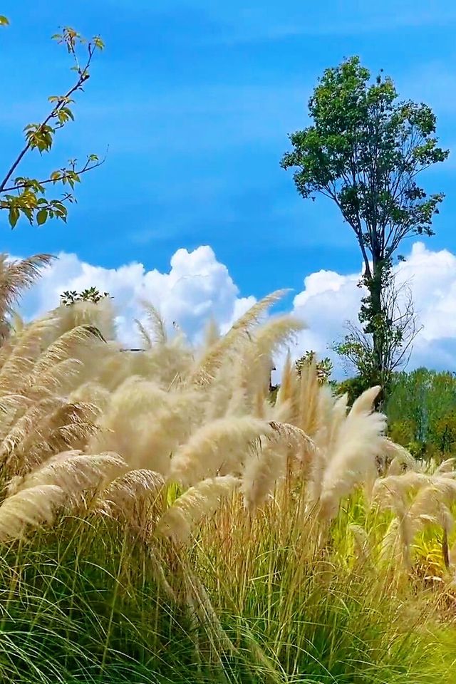 雲南，一個令你流連忘返的天堂。
