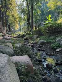 帶孩子在植物園裏撿「垃圾」。