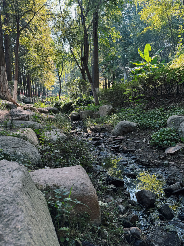 帶孩子在植物園裏撿「垃圾」。
