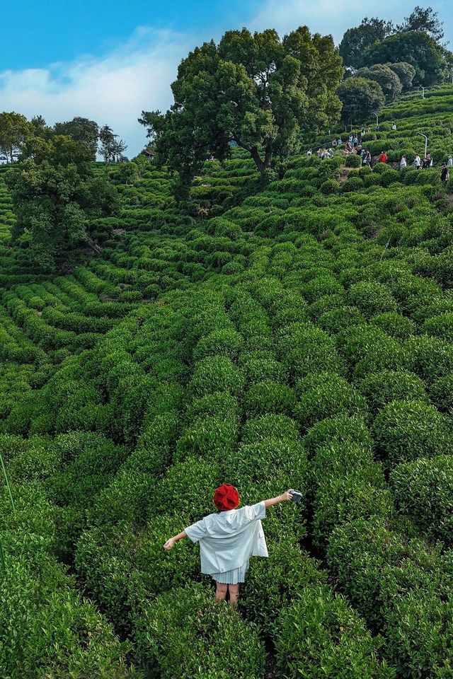 杭州旅行。