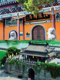 總要去趟壽縣，感受一下屬於安徽的古城牆吧。
