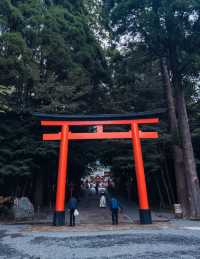 鹿兒島出發1小時打卡西日本大鳥居。