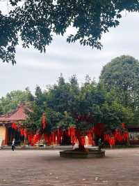 成都白雲寺｜一座祈禱很靈驗的寺廟～。