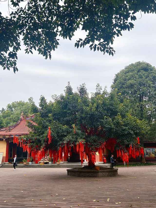 成都白雲寺｜一座祈禱很靈驗的寺廟～。