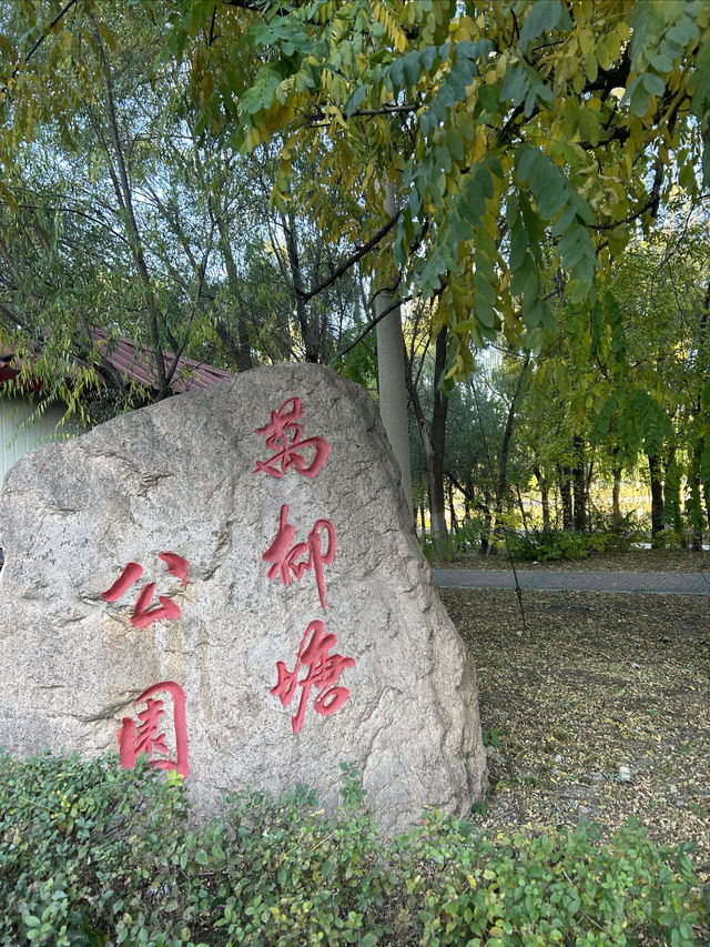 城市漫步｜漸行漸遠的秋天。