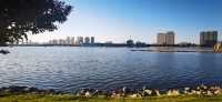 濱州市最大的公園——中海公園。