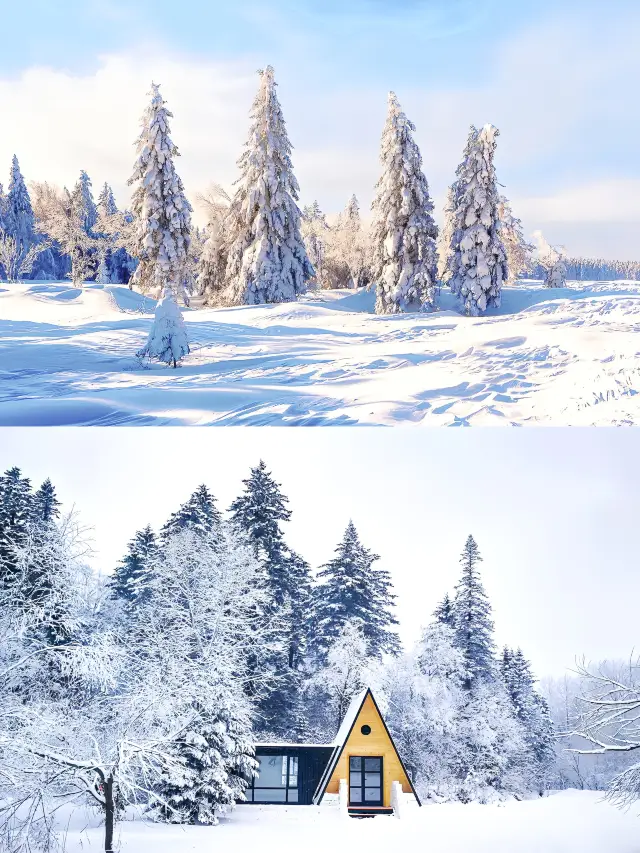 In Yanji! Stay in a dreamy cabin in the snow-covered forest. 