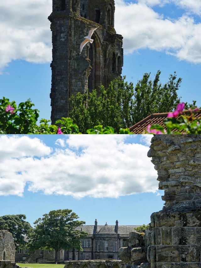 旅行隨拍：Saint Andrews。