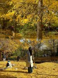 陶然亭公園｜京城秋韻寶藏地！