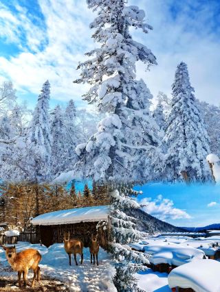 Yabuli: 3 days and 2 nights! Start a magical journey in the ice and snow kingdom. 