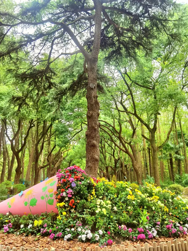 上海共青森林公園裡秋天的莫奈花園。