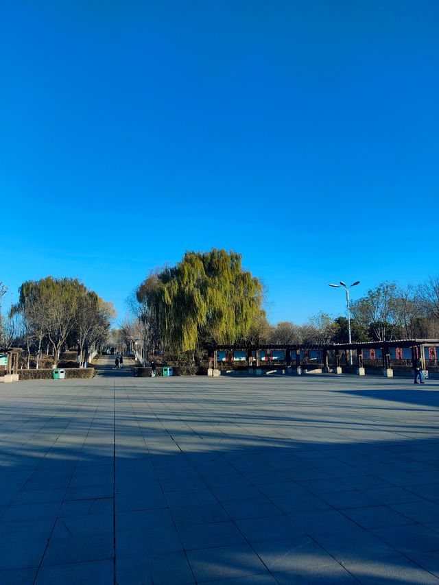 河北遷安|秋色 不小心撿個秋天。