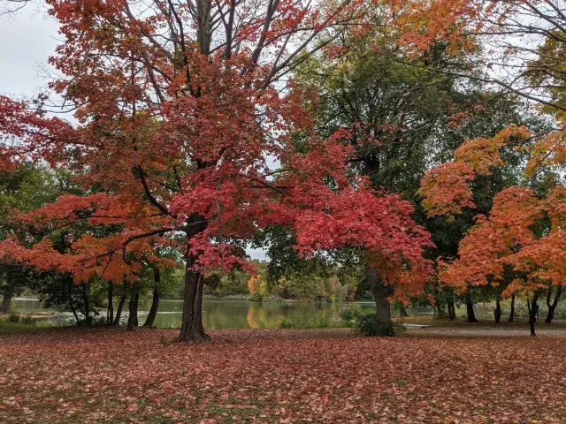 Brooklyn Prospect Park Half-Day Tour